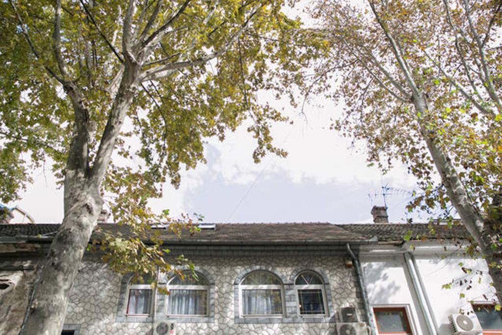 Kona Apartment Beograd Eksteriør billede